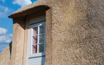 Sutton Waldron thatch roof disadvantages